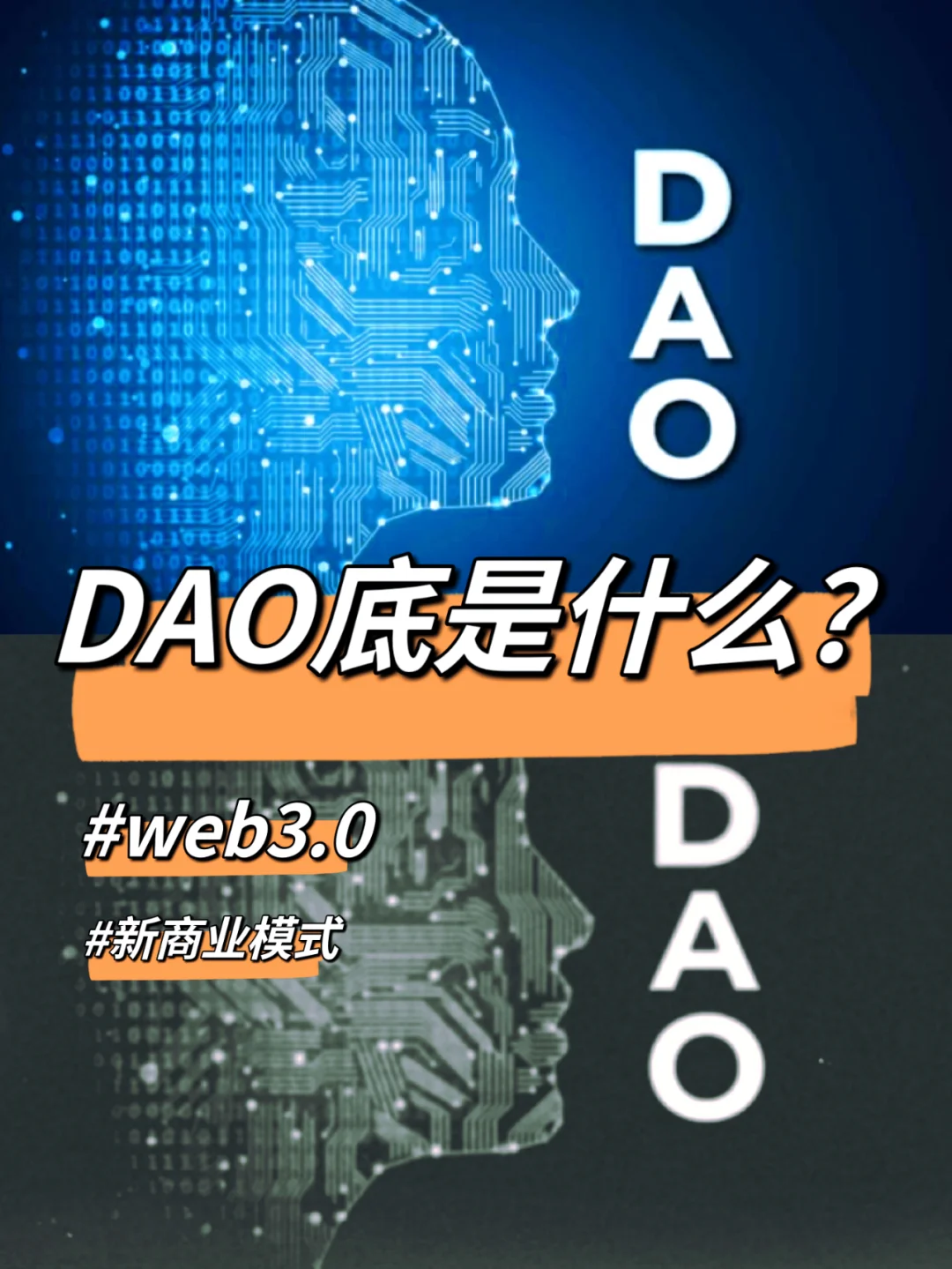 金年会亚洲首选行业分析指出，DAO引发社区热议的简单介绍