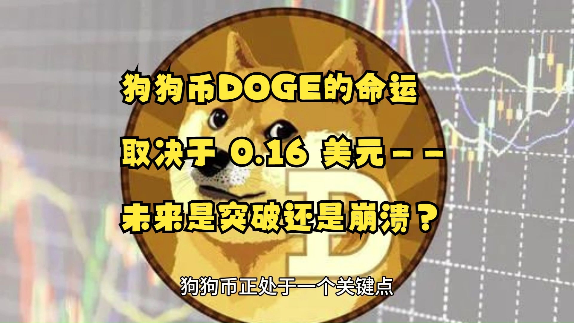 金年会在线体育狗狗币空投即将开始，参与用户将获316枚代币
